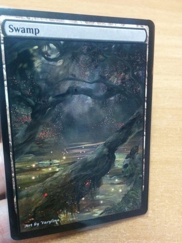 Swamp #13